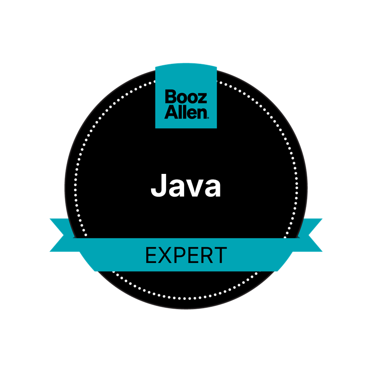 Java Expert