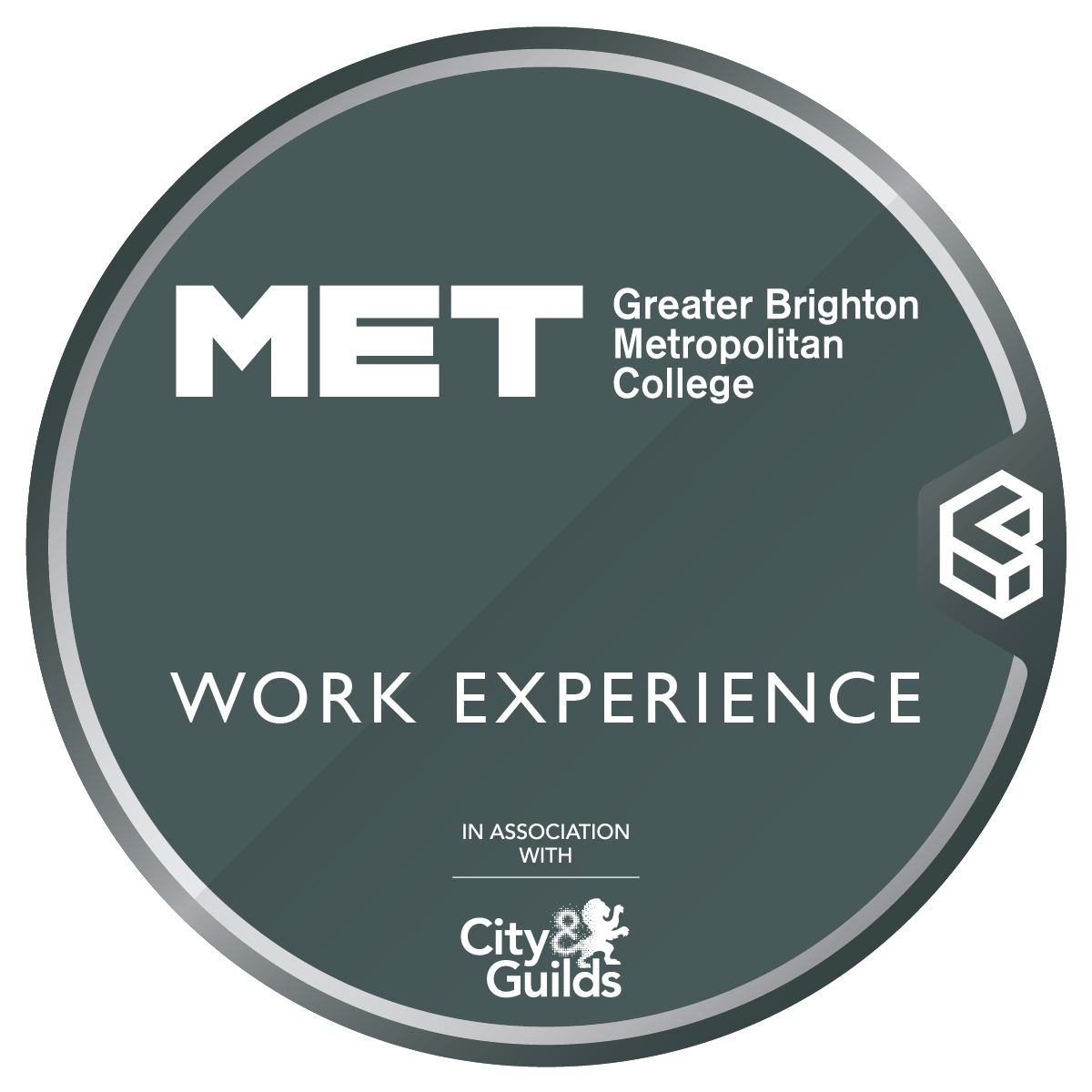 GBMET Work Experience