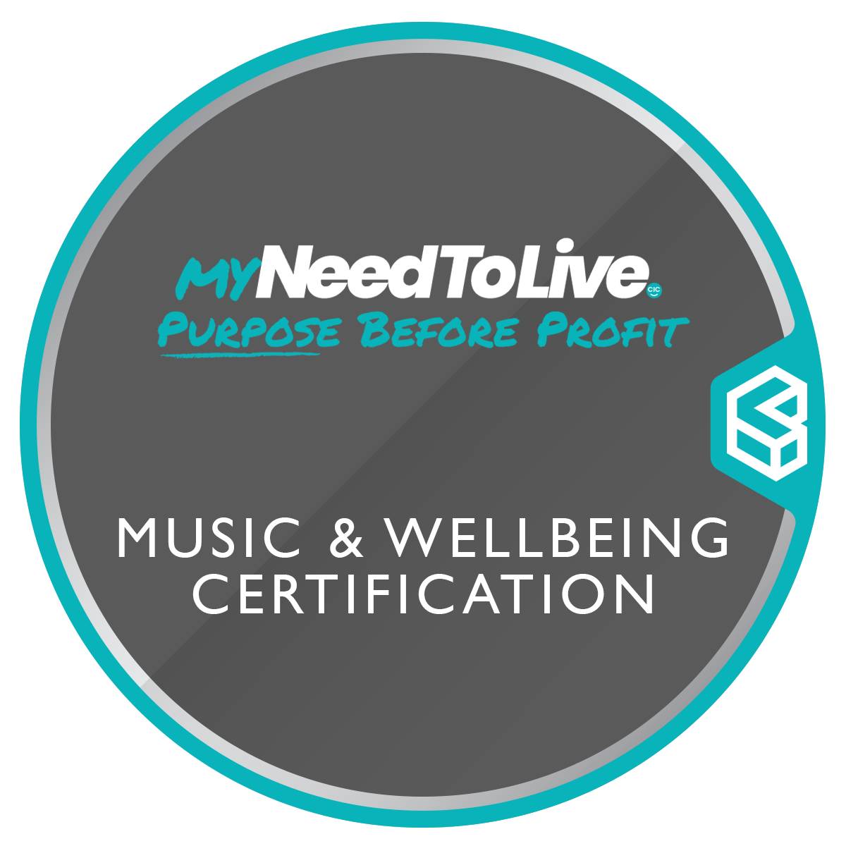 Music Making For Improved Well Being - Certification Course