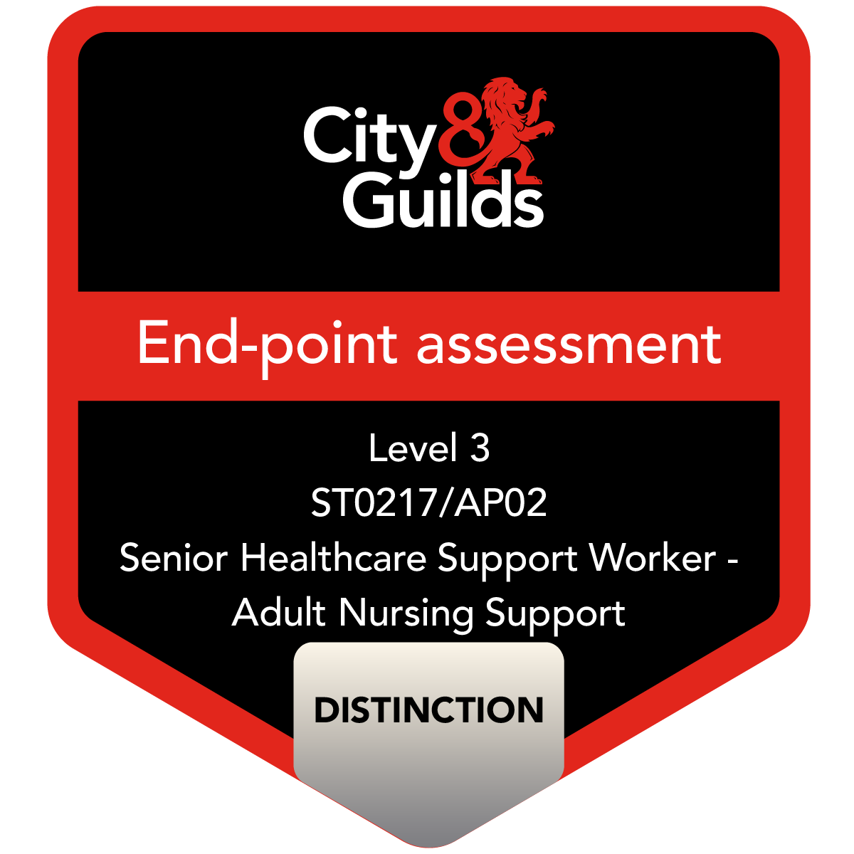 904322 Level 3 Endpoint Assessment for (ST0217/AP02) Senior