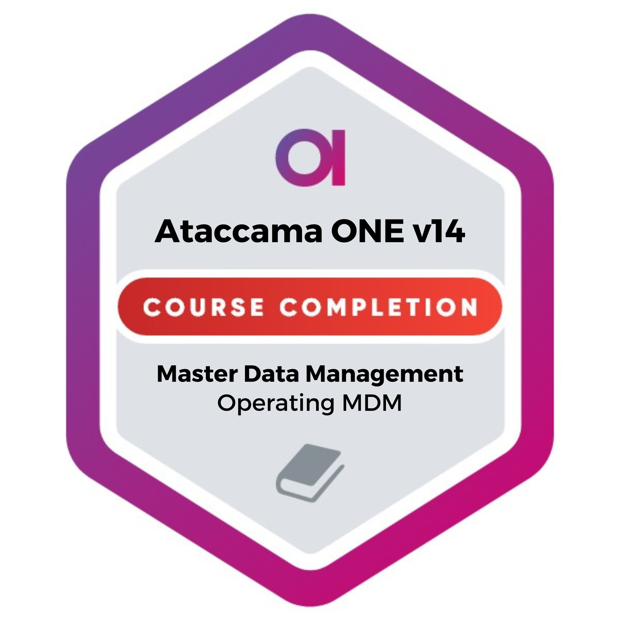 Ataccama ONE v14 | Operating MDM