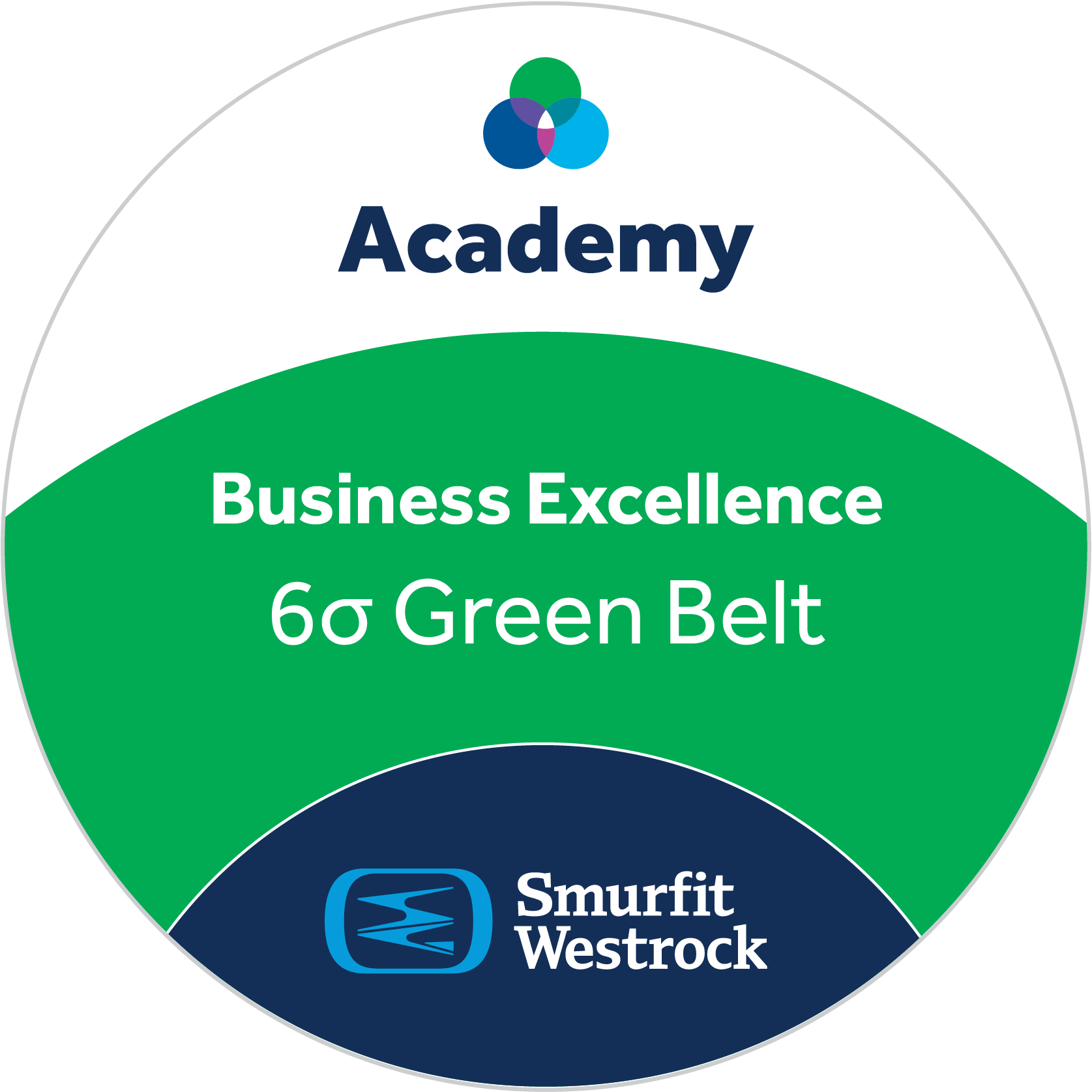 Smurfit Westrock 6σ Green Belt