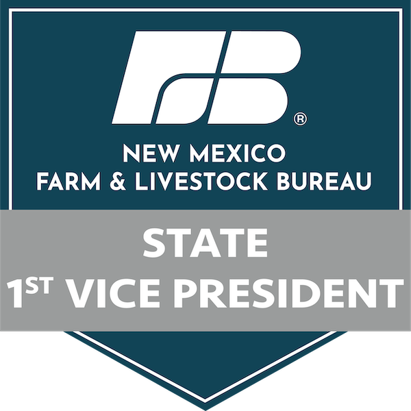 NMF&LB State 1st Vice President