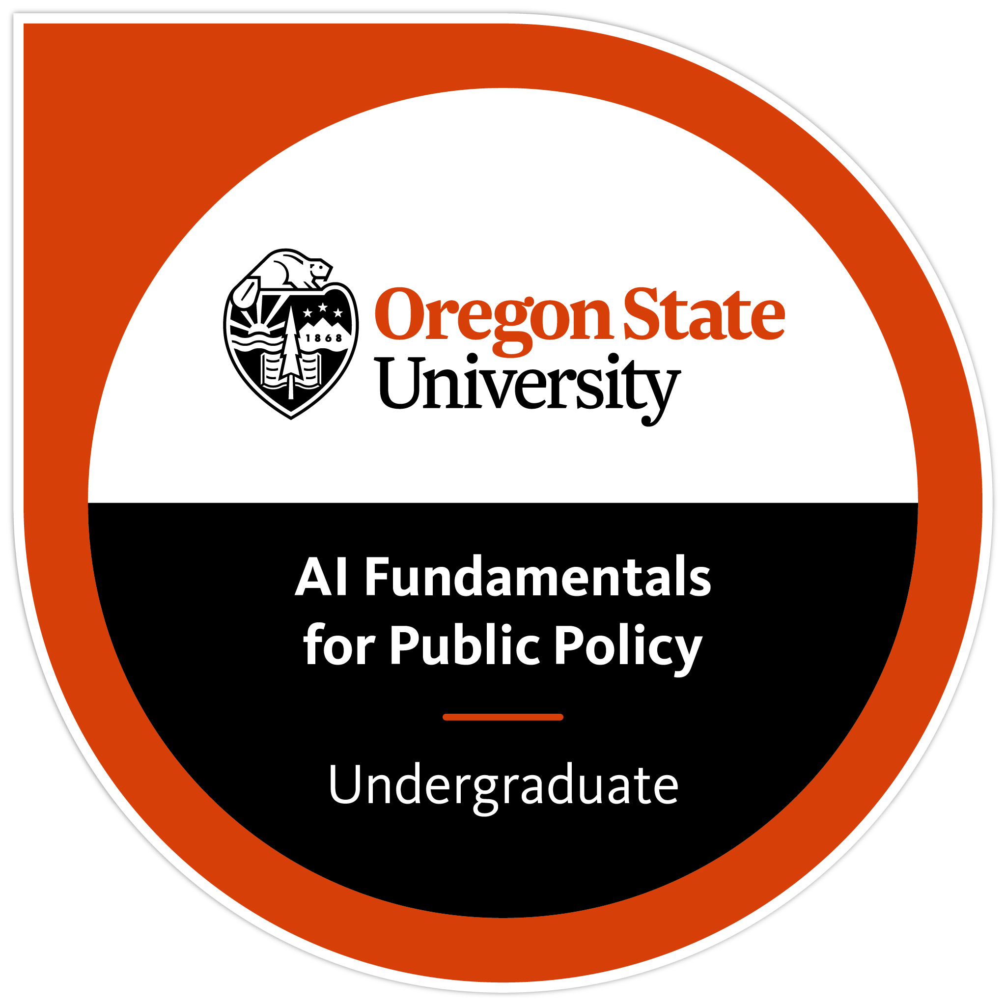 AI Fundamentals for Public Policy