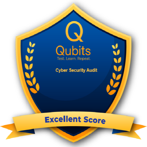 Cyber Security Audit