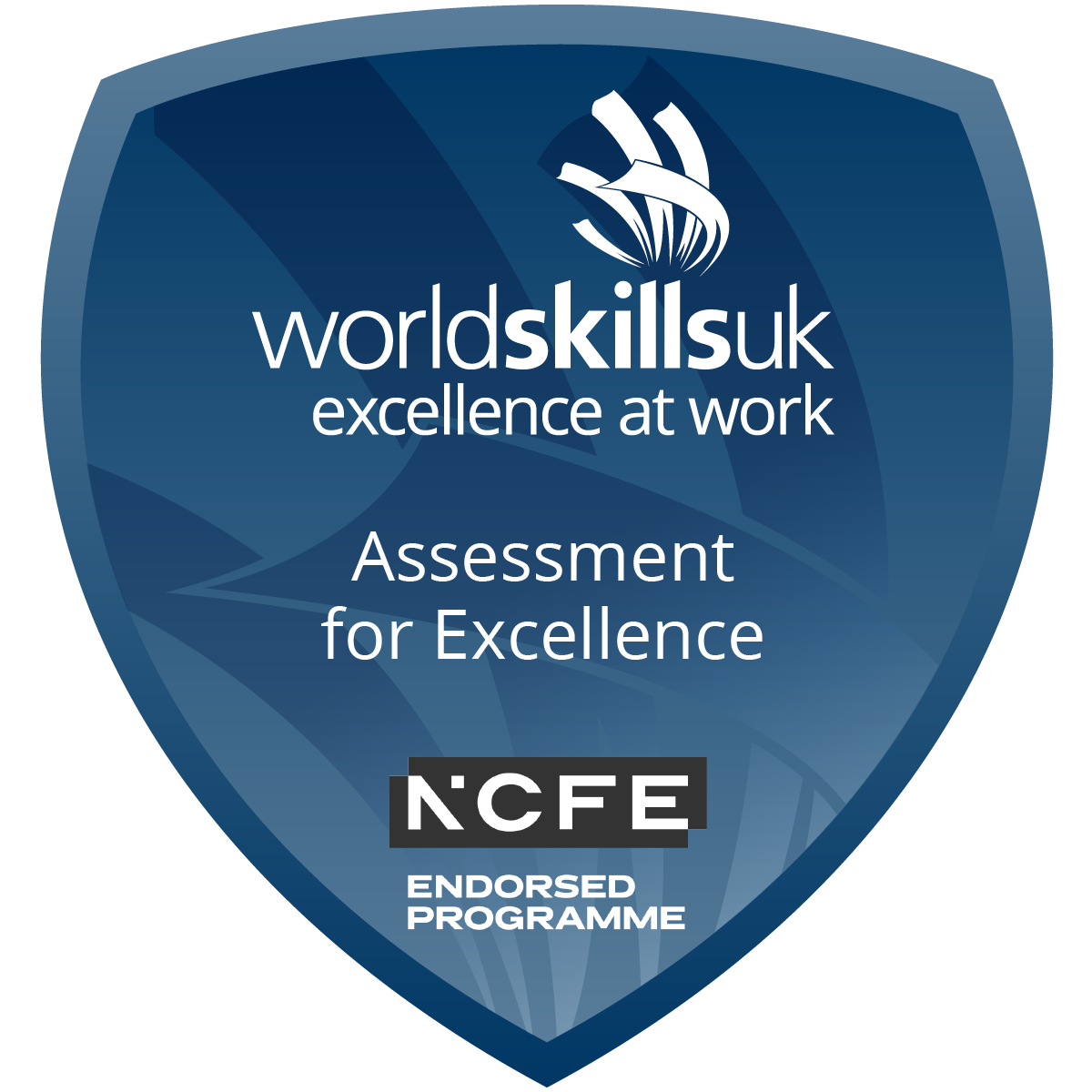 Assessment for Excellence