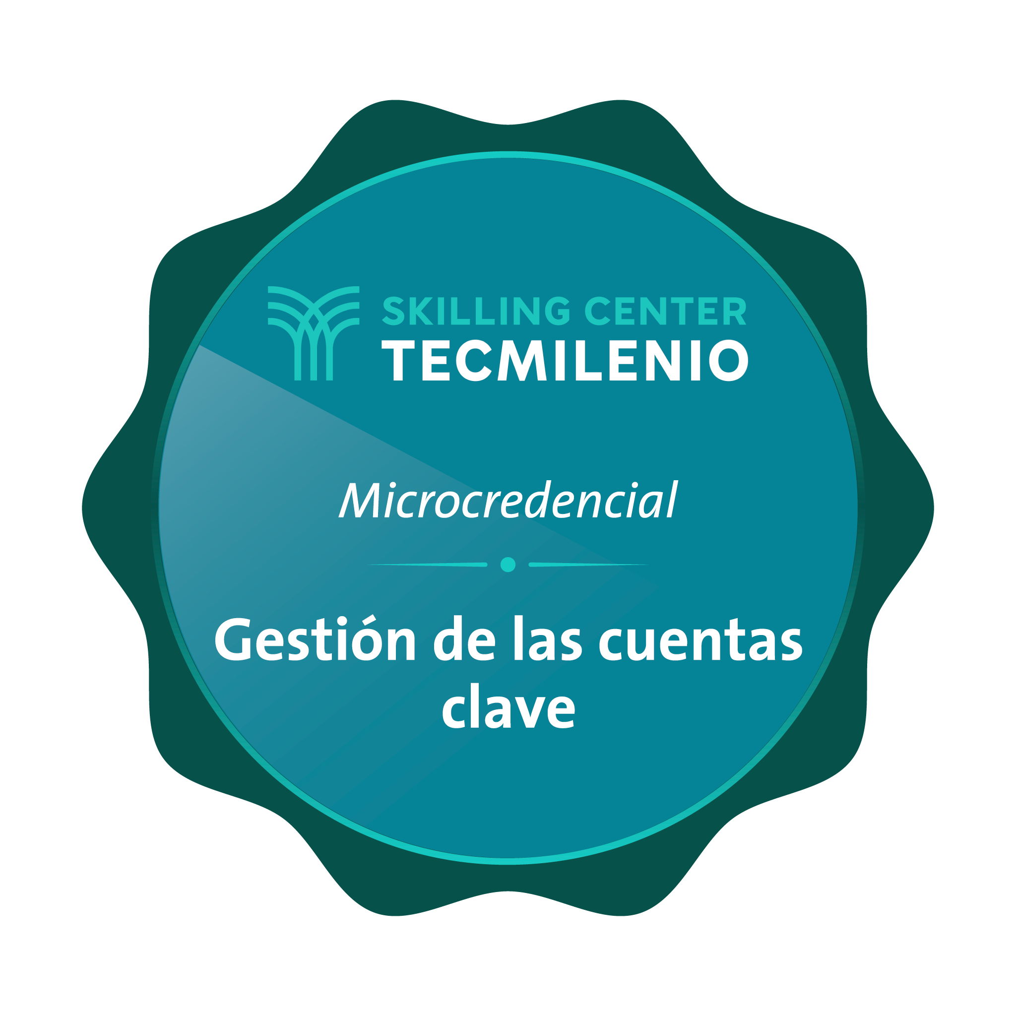 Microcredencial Gestión de las cuentas clave