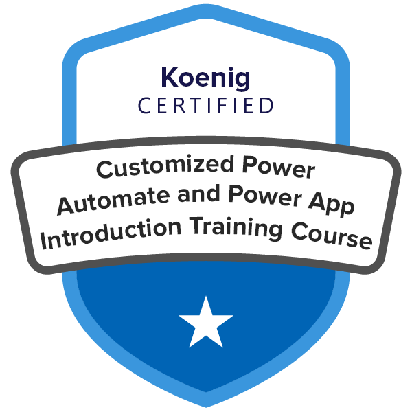 Customized Power Automate and Power App Introduction Training Course