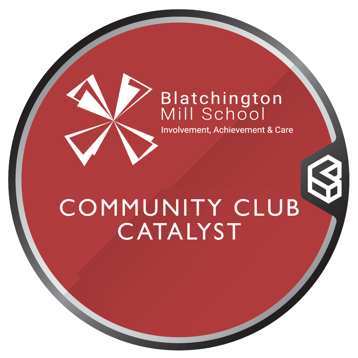 Blatchington Mill School Community Club Catalyst; creating projects to help others