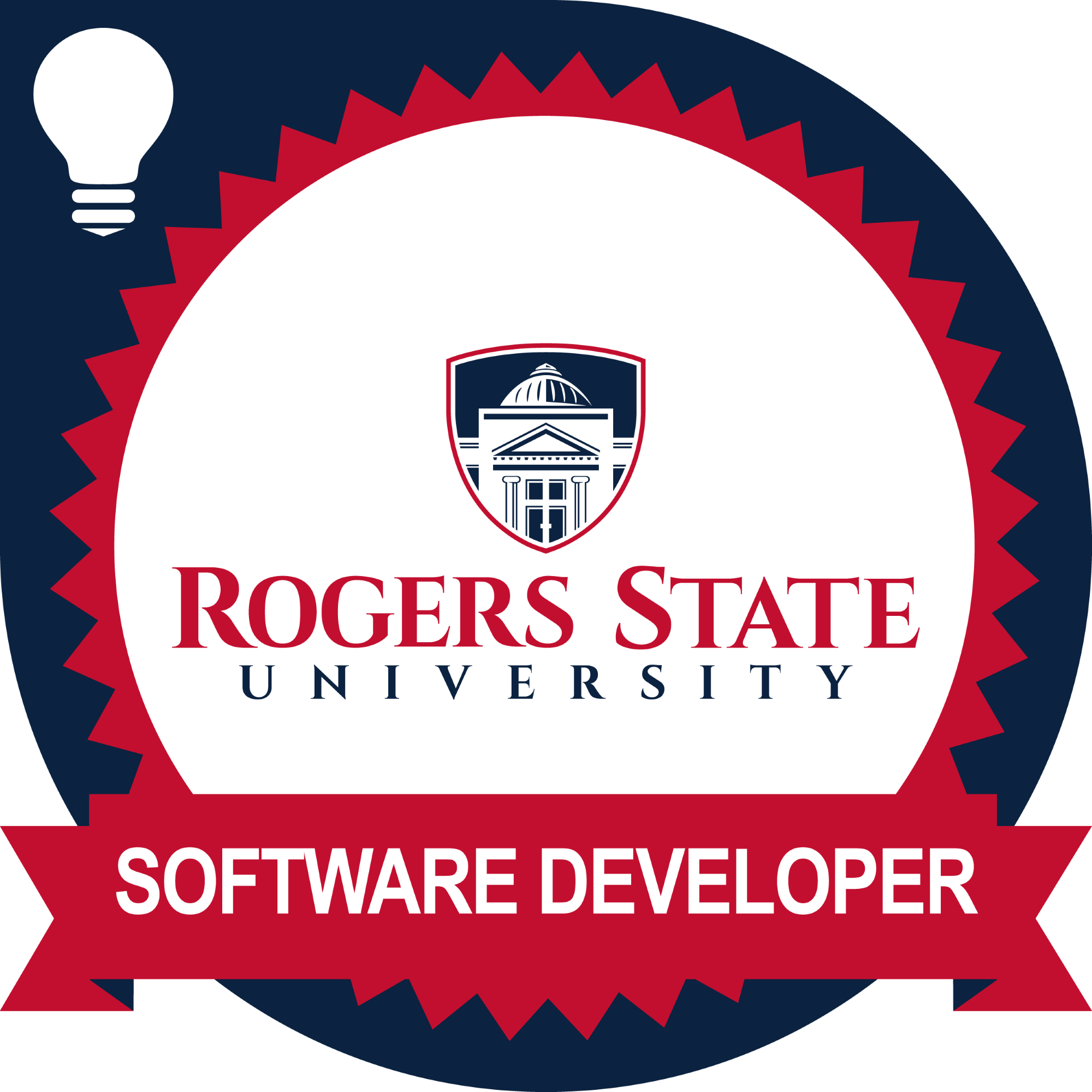 Software Developer