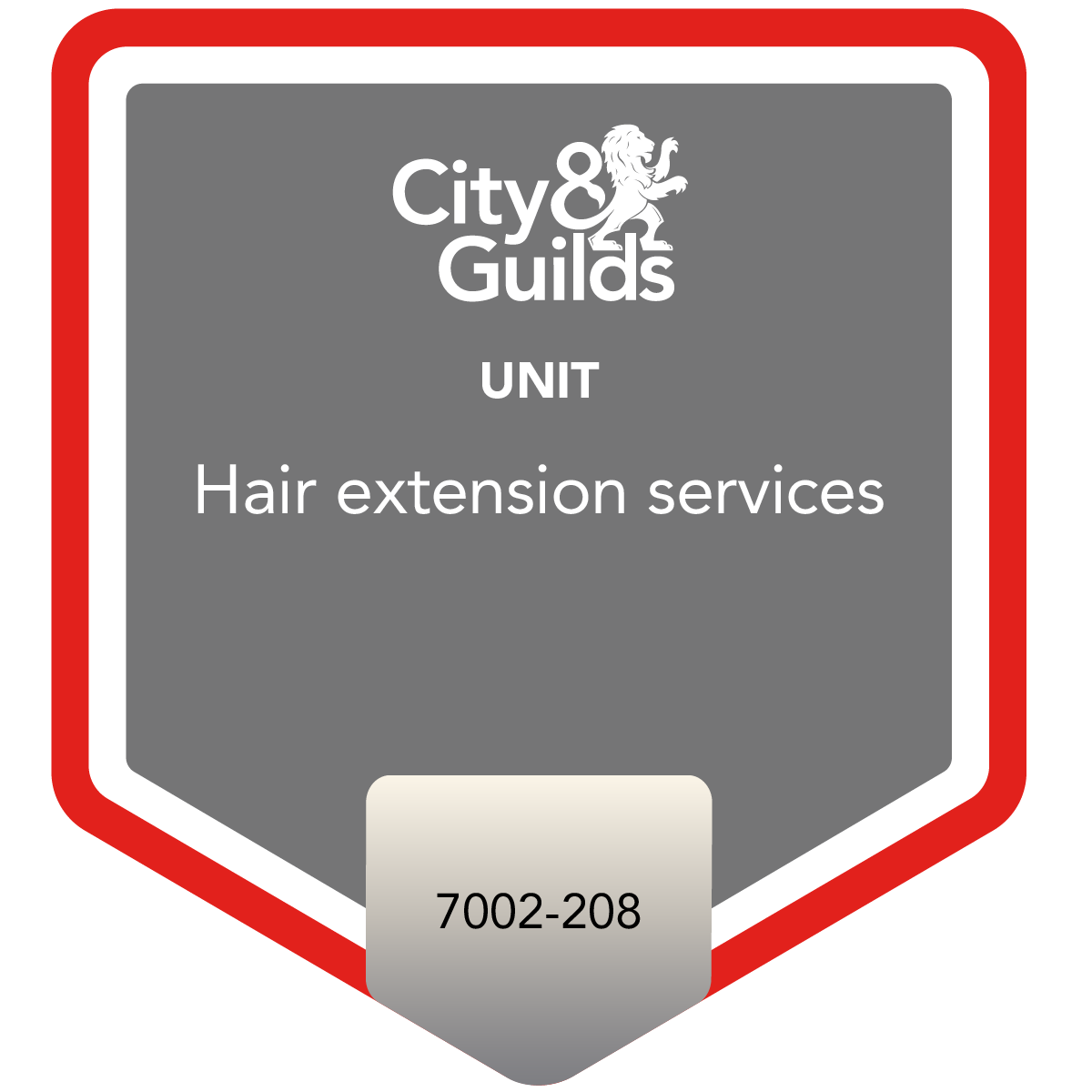 Hair extension services - Unit 7002-208