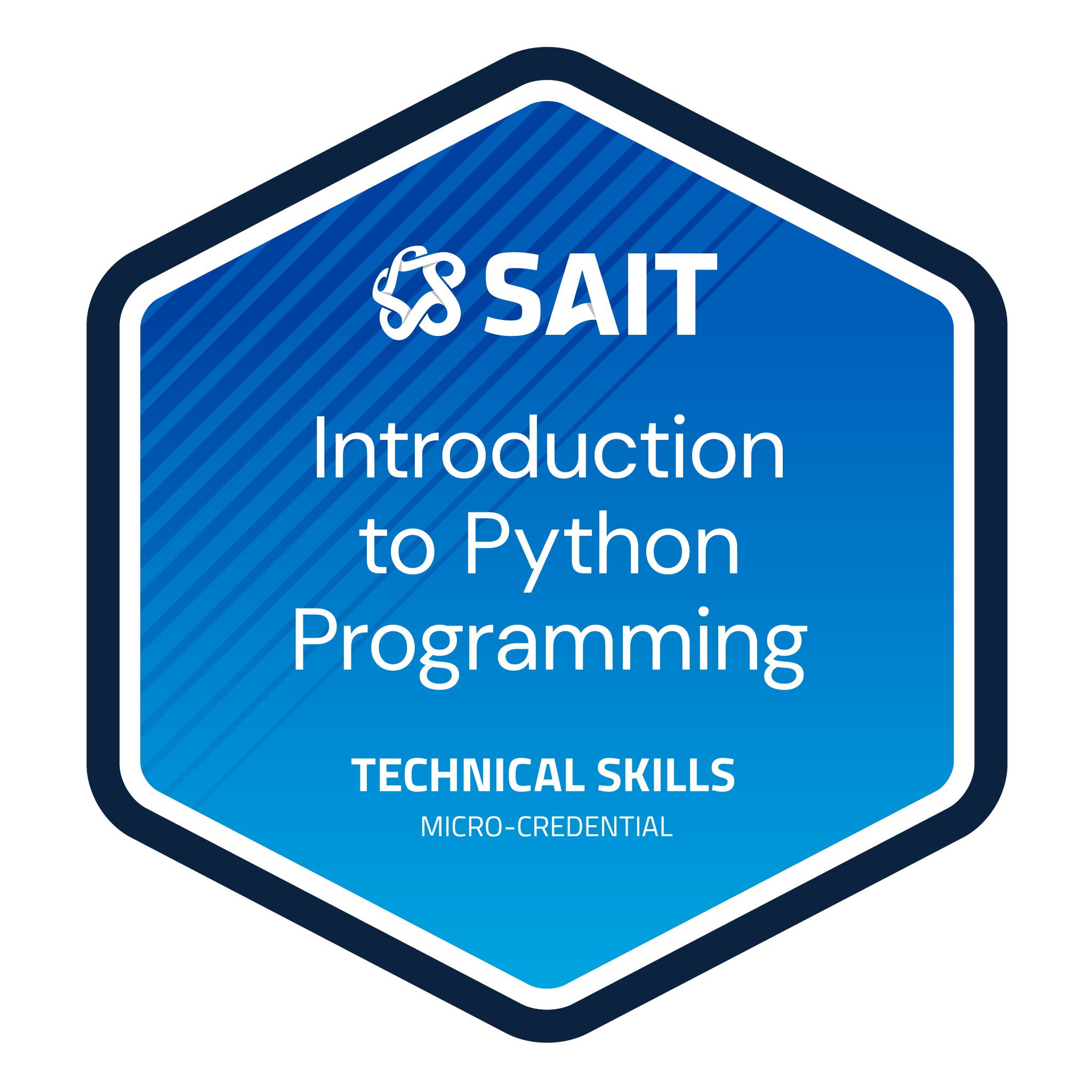 Introduction to Python Programming