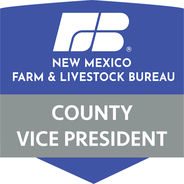 NMF&LB County Vice President