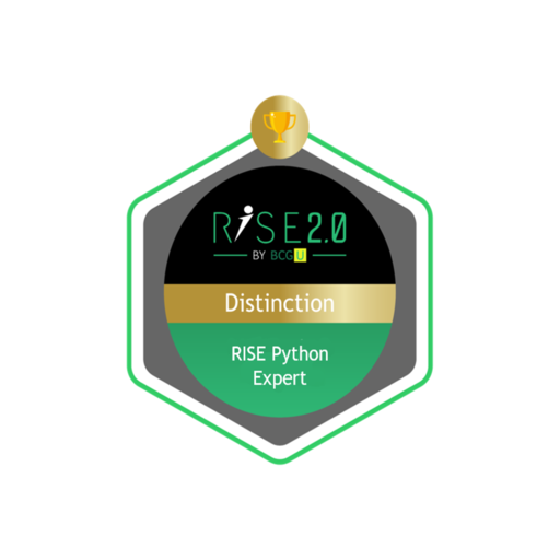 BCG RISE Python Expert - Credly