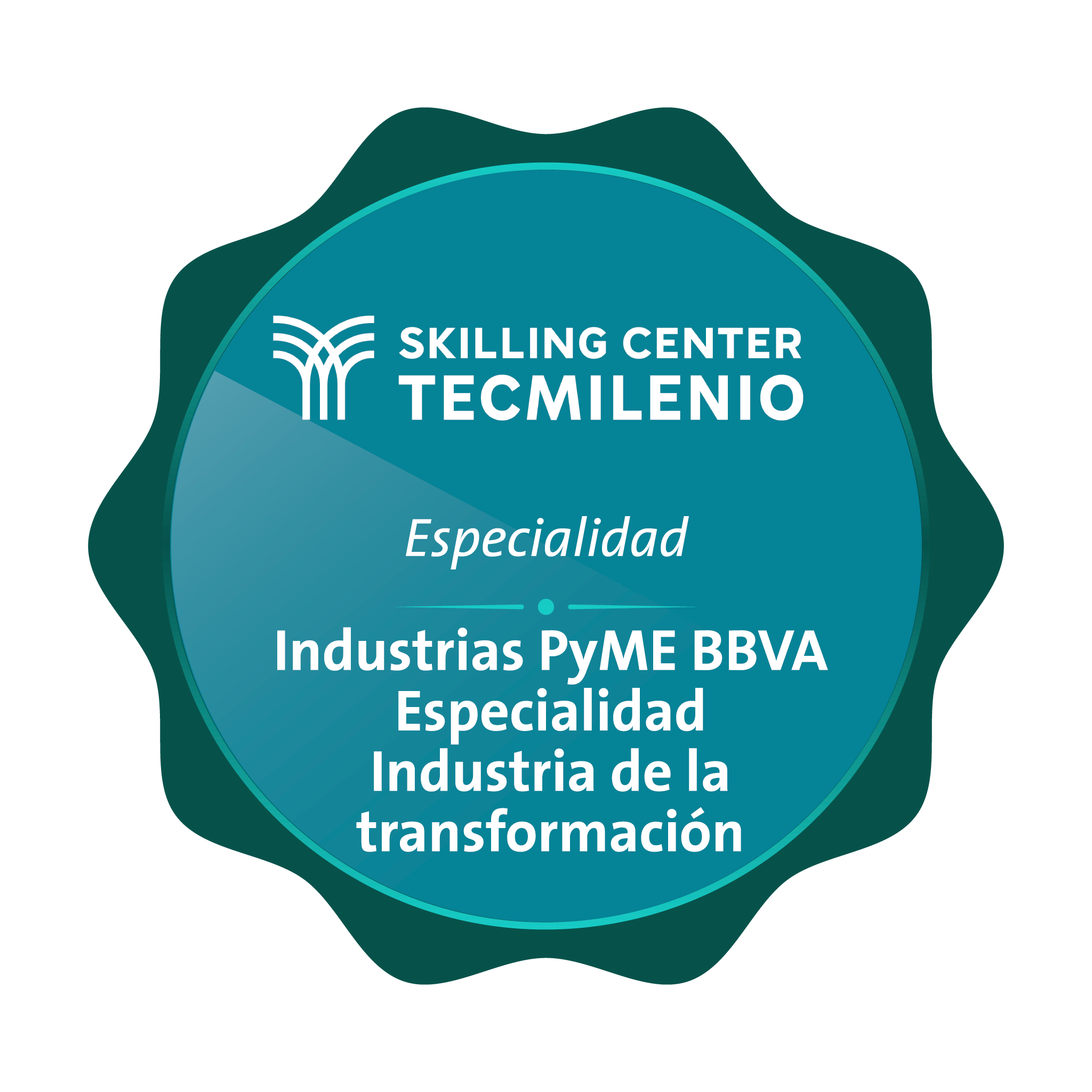 Industrias PyME BBVA - Industria de la transformación