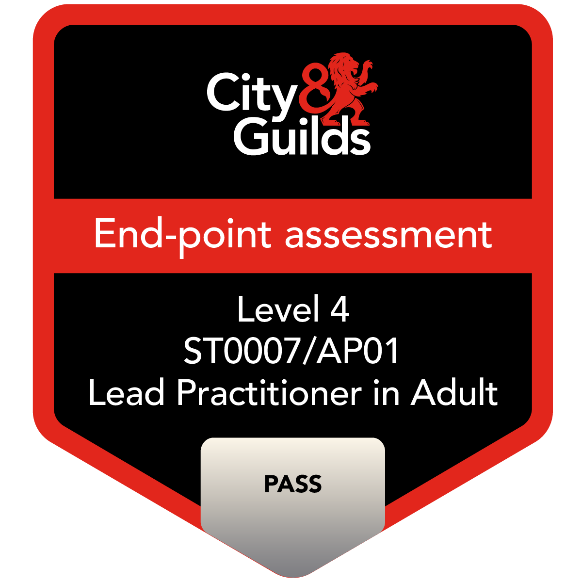 Level 4 End-point Assessment for ST0007/AP01 Lead Practitioner in Adult Care - Pass (9047-12)