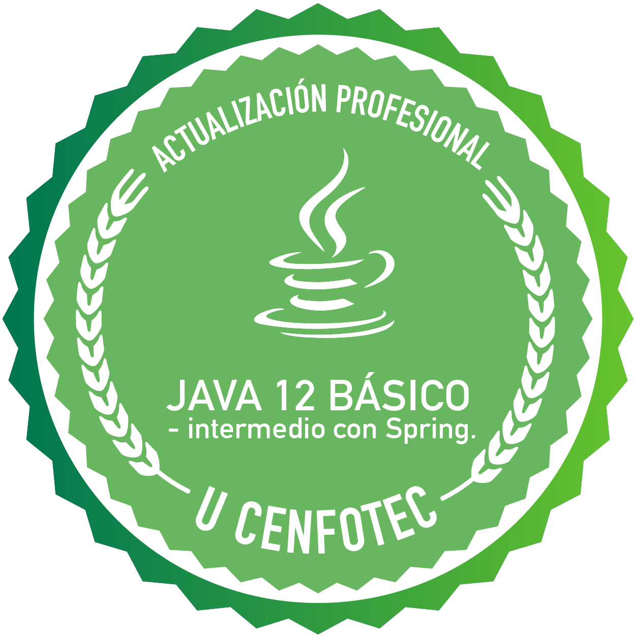 Java 12 básico - intermedio con Spring - Credly