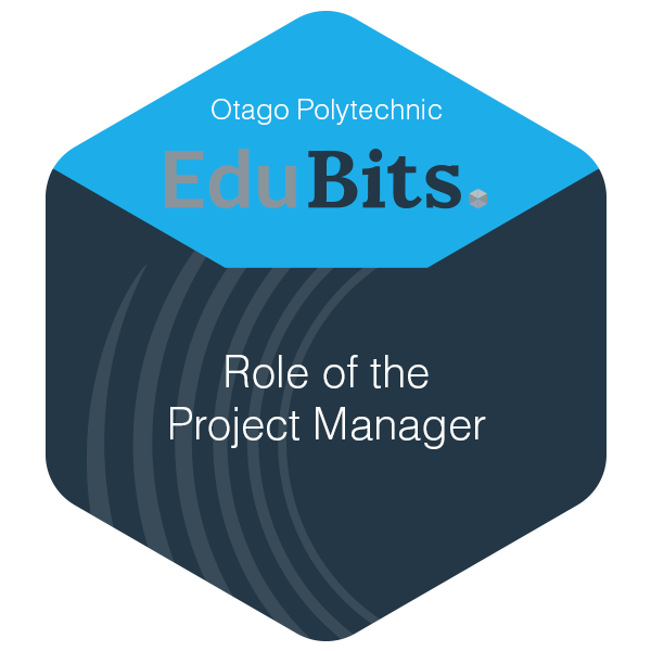 Role of the Project Manager