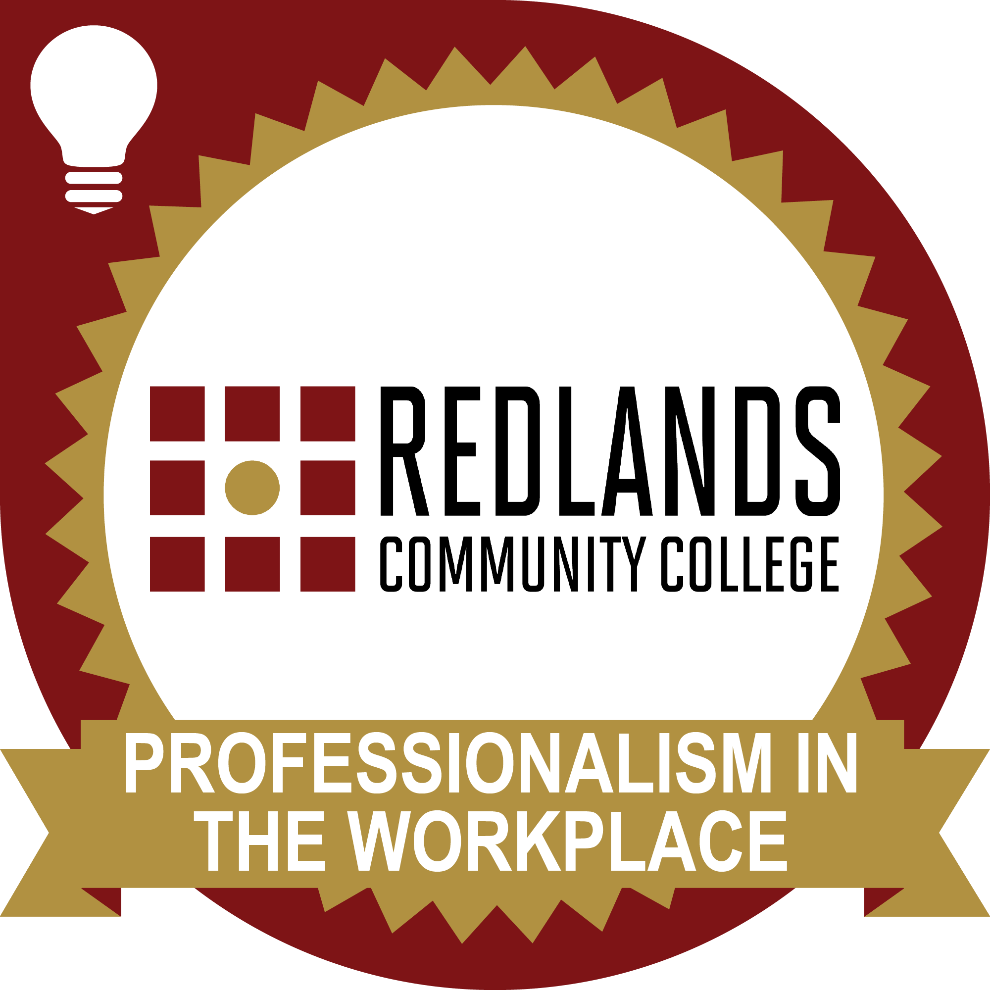 Professionalism in the Workplace