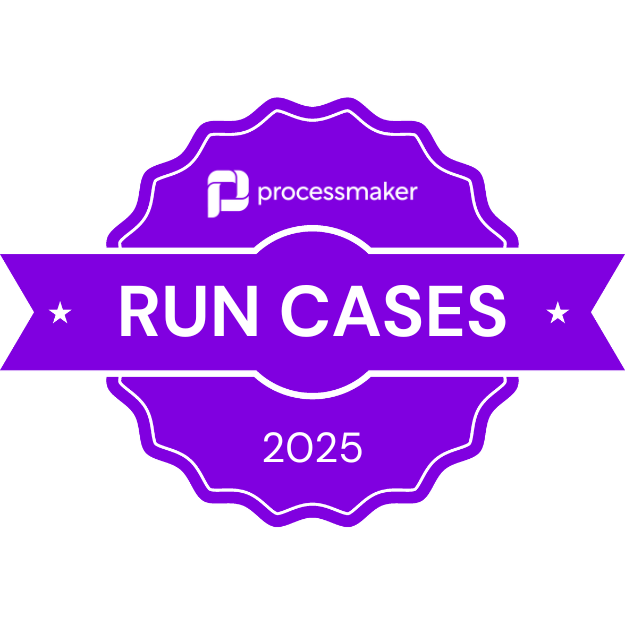 2025 Run Cases