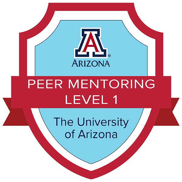 Peer Mentoring Level 1