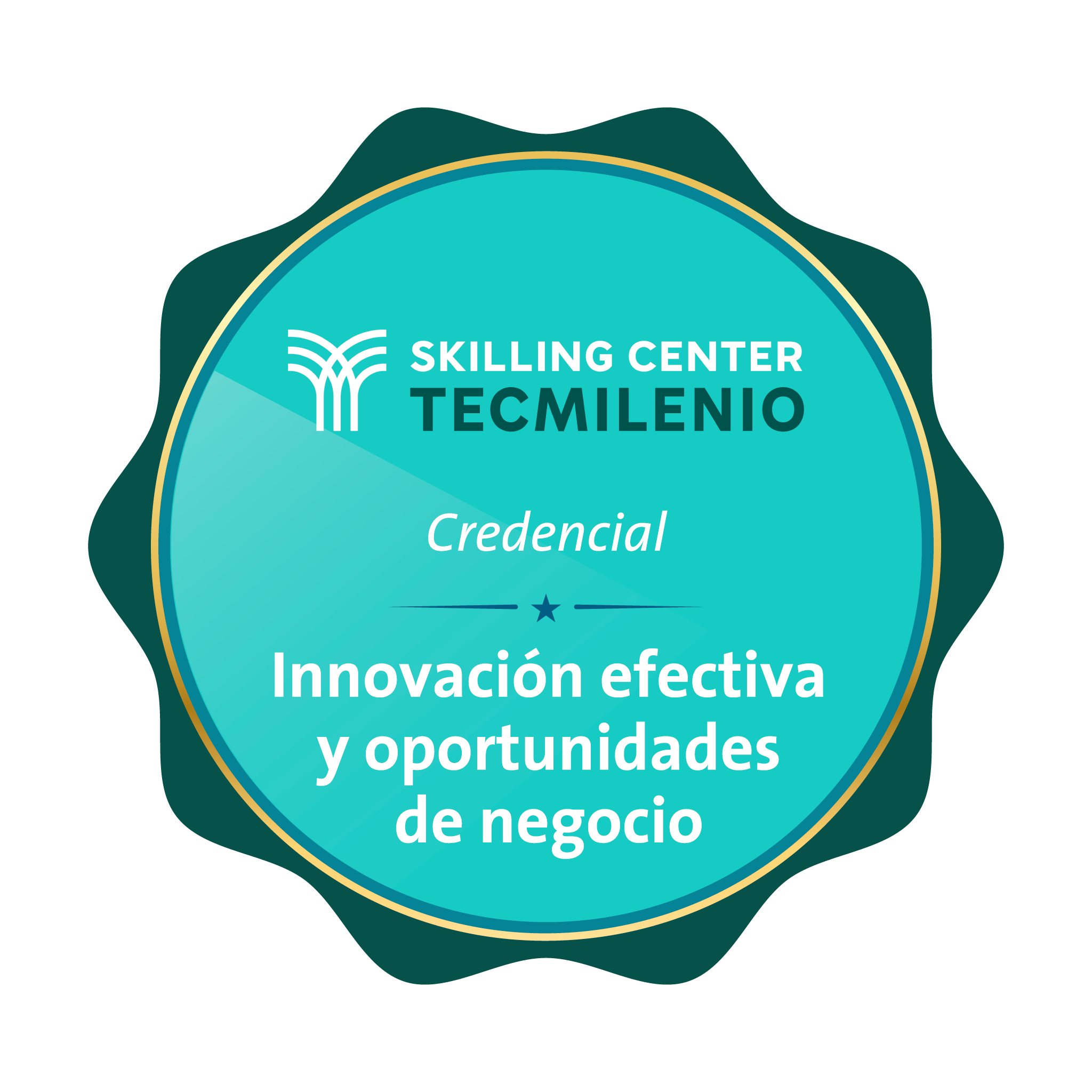 Credencial Innovación efectiva y oportunidades de negocio