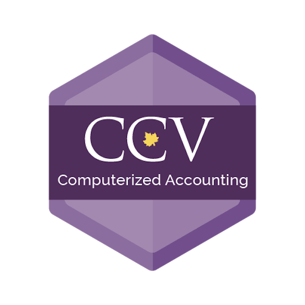 Computerized Accounting