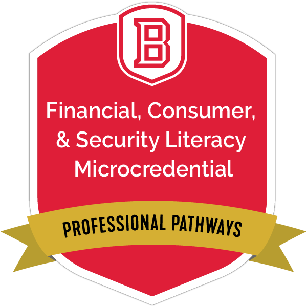 Financial, Consumer, & Security Literacy