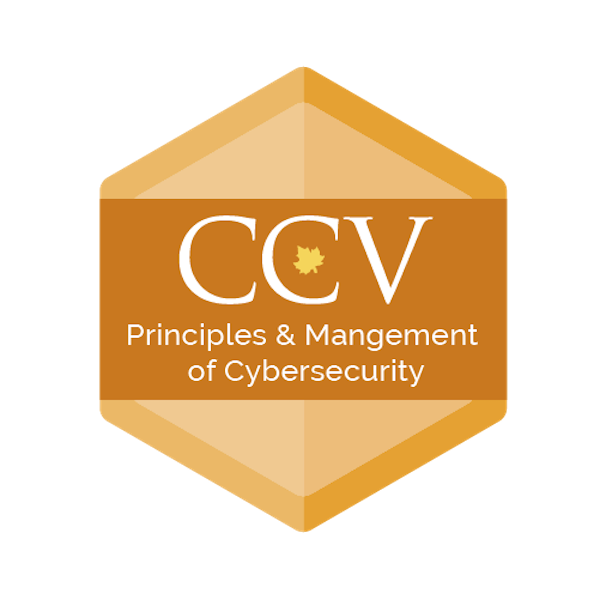 Principles & Management of Cybersecurity