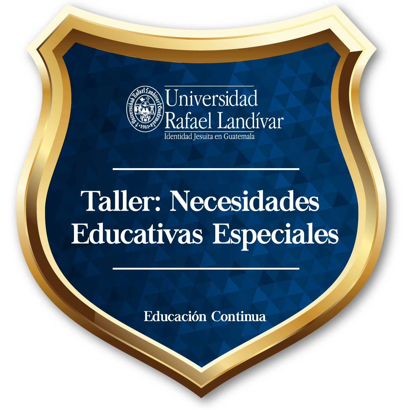 Taller Necesidades Educativas Especiales