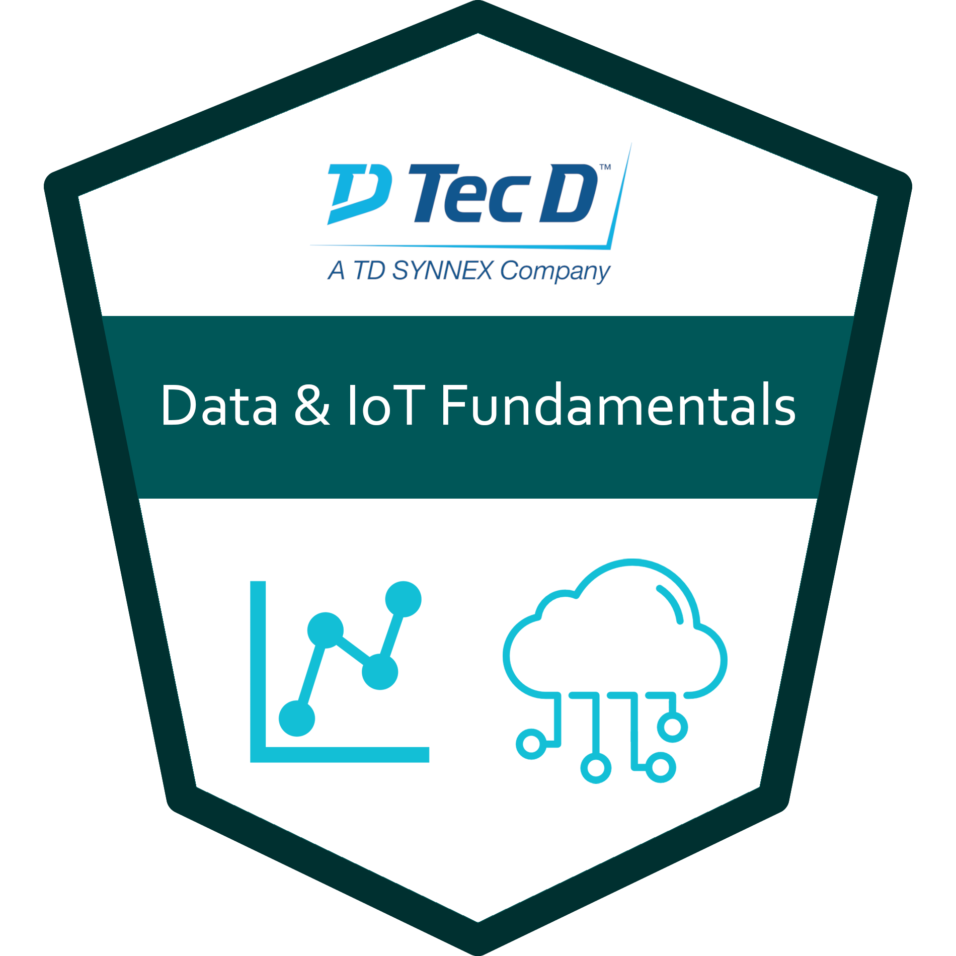 Tec D - Data and IoT Fundamentals Certification