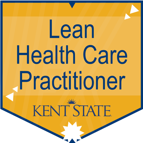 Lean Health Care Practitioner