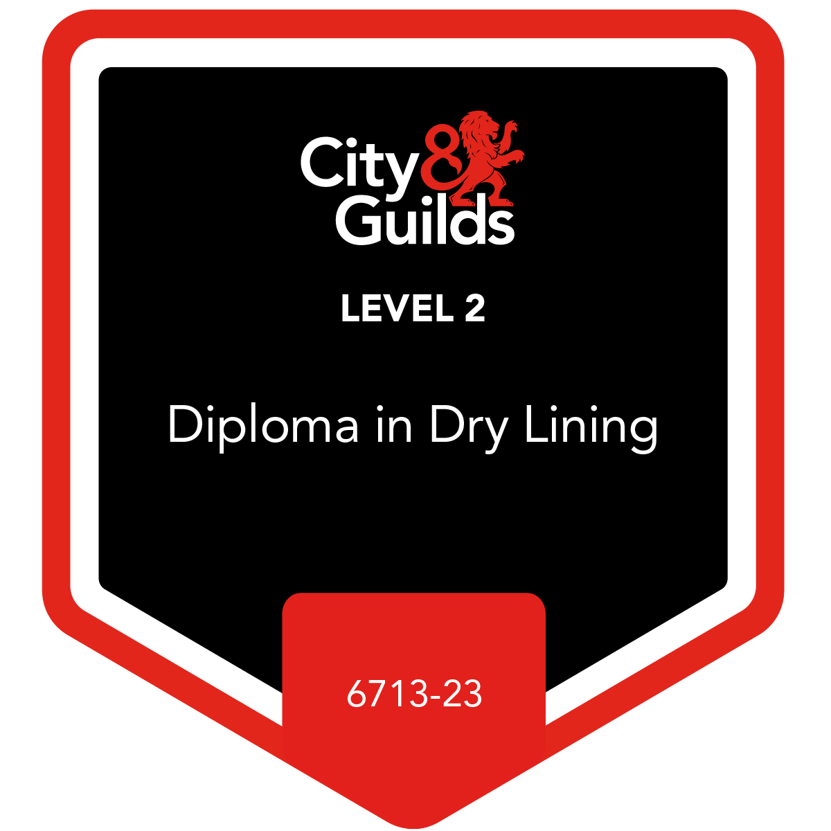 Level 2 Diploma in Dry Lining (671323) Credly