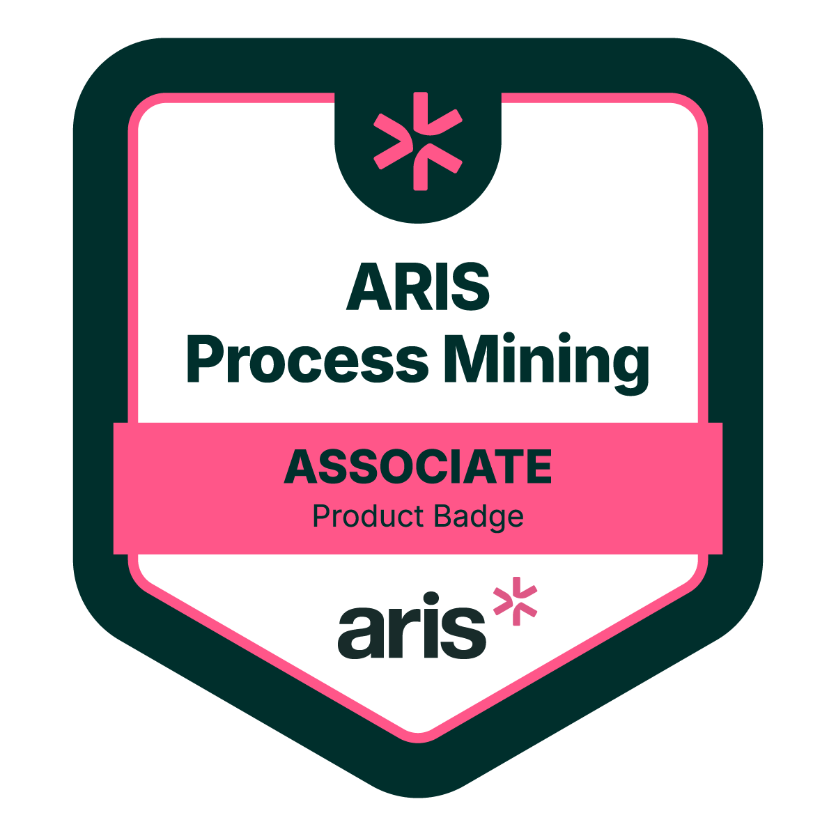 Certified ARIS Process Mining Associate