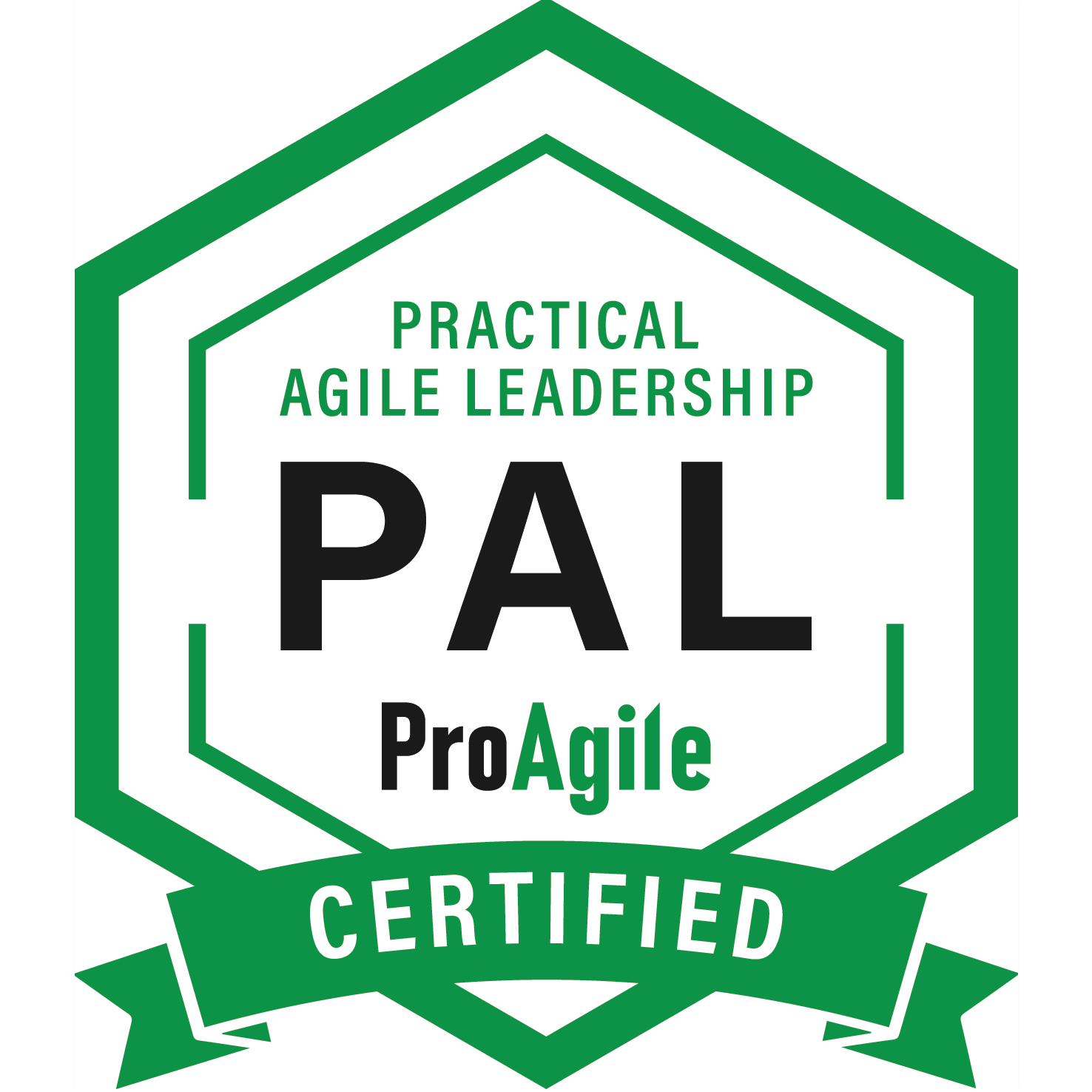 Practical Agile Leadership