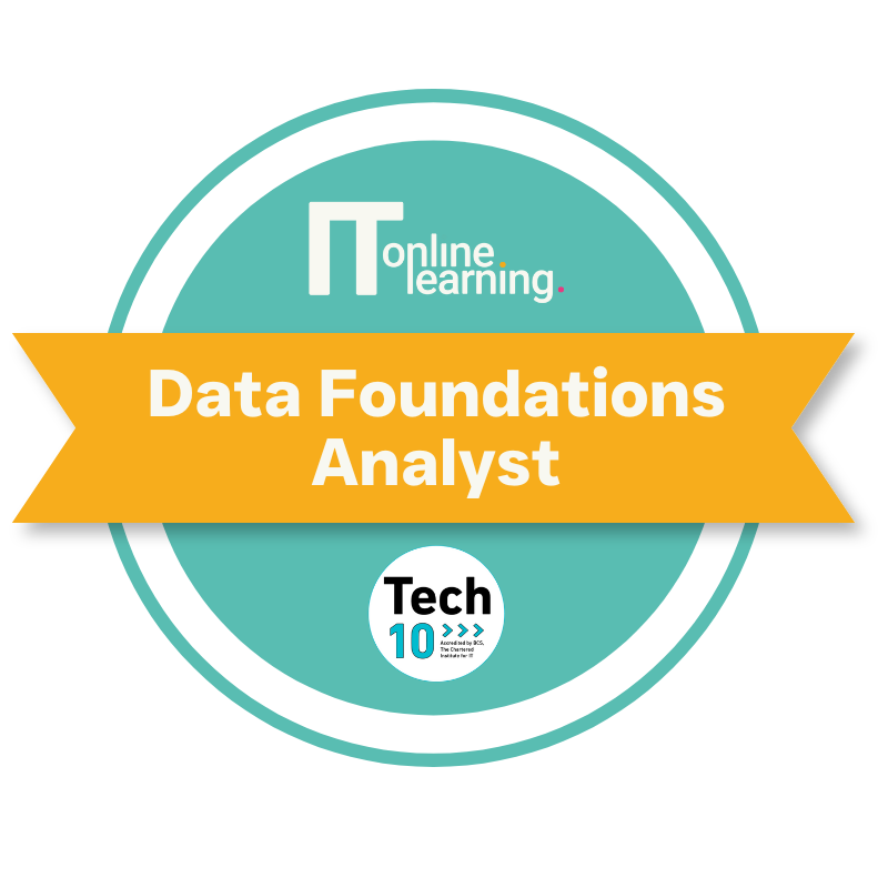 Data Foundations Analyst