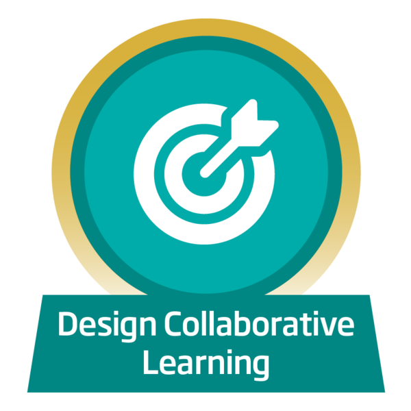 Design Collaborative Learning - Mauri Ora / Modelling