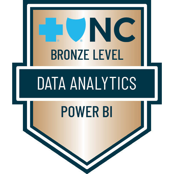 Power BI - Bronze