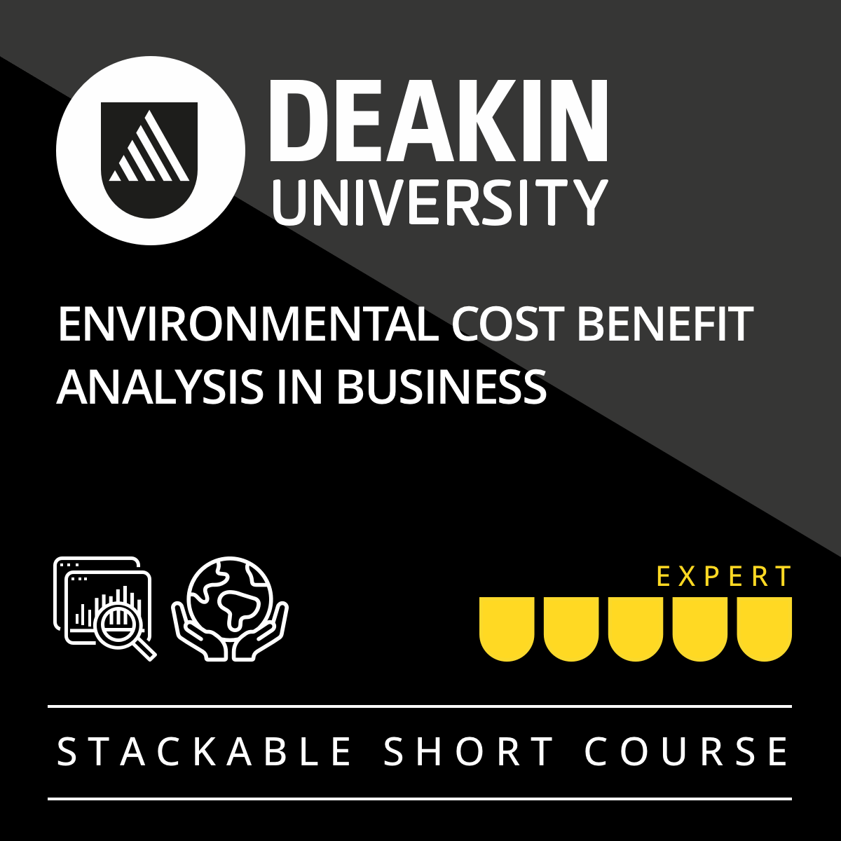 Environmental Cost Benefit Analysis in Business