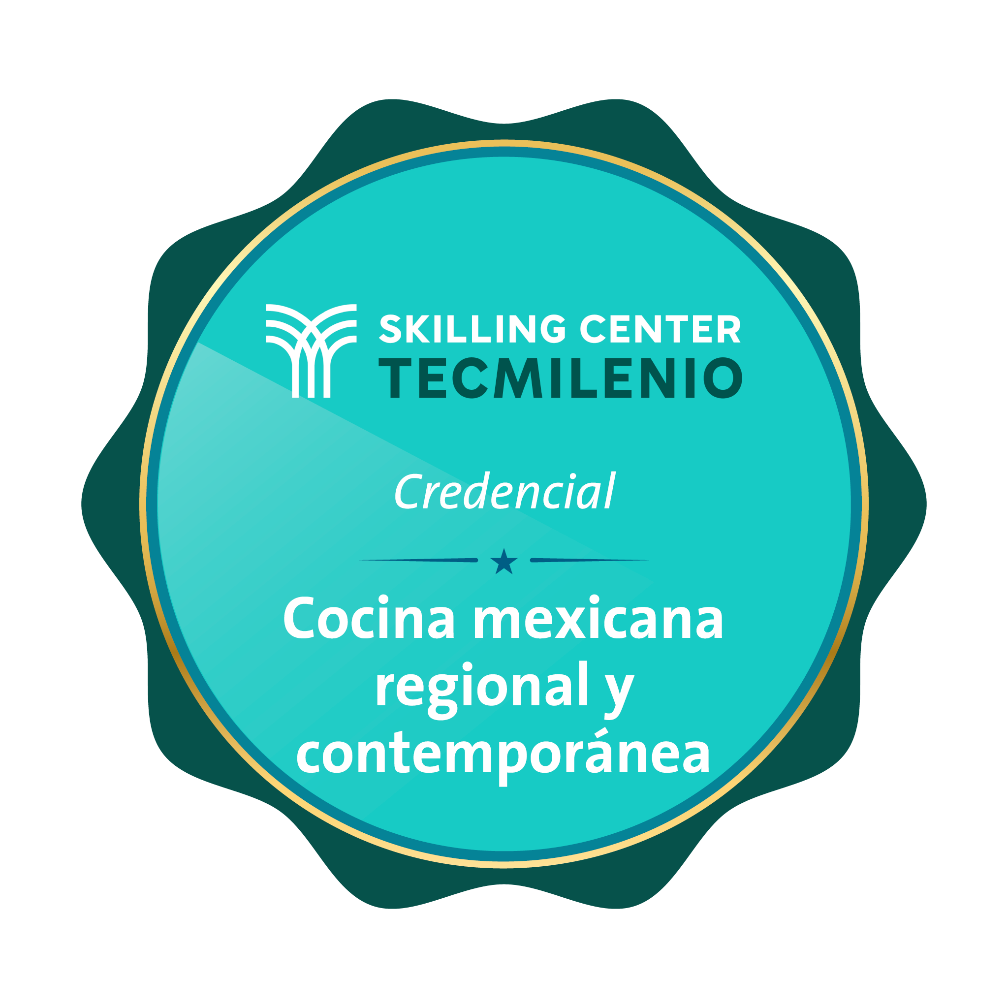 Credencial Cocina mexicana regional y contemporánea