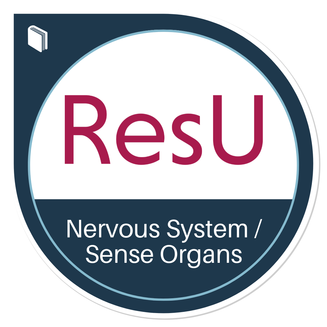 Nervous Systems and Sense Organs Medical Terminology