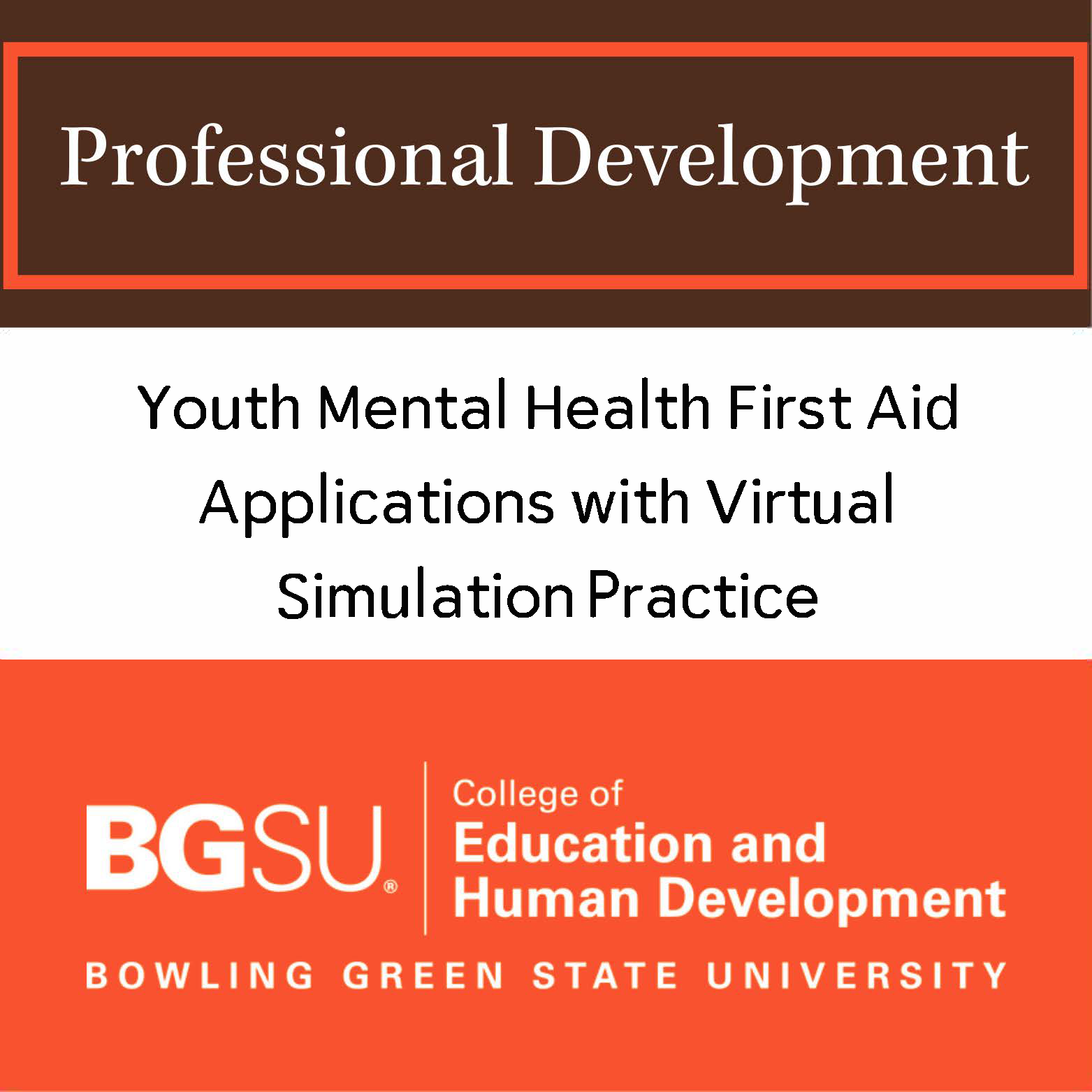 Youth Mental Health First Aid Applications with Virtual Simulation Practice