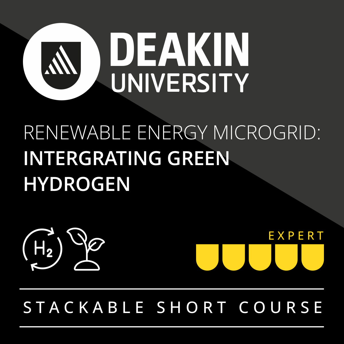 Renewable Energy Microgrid: Integrating Green Hydrogen