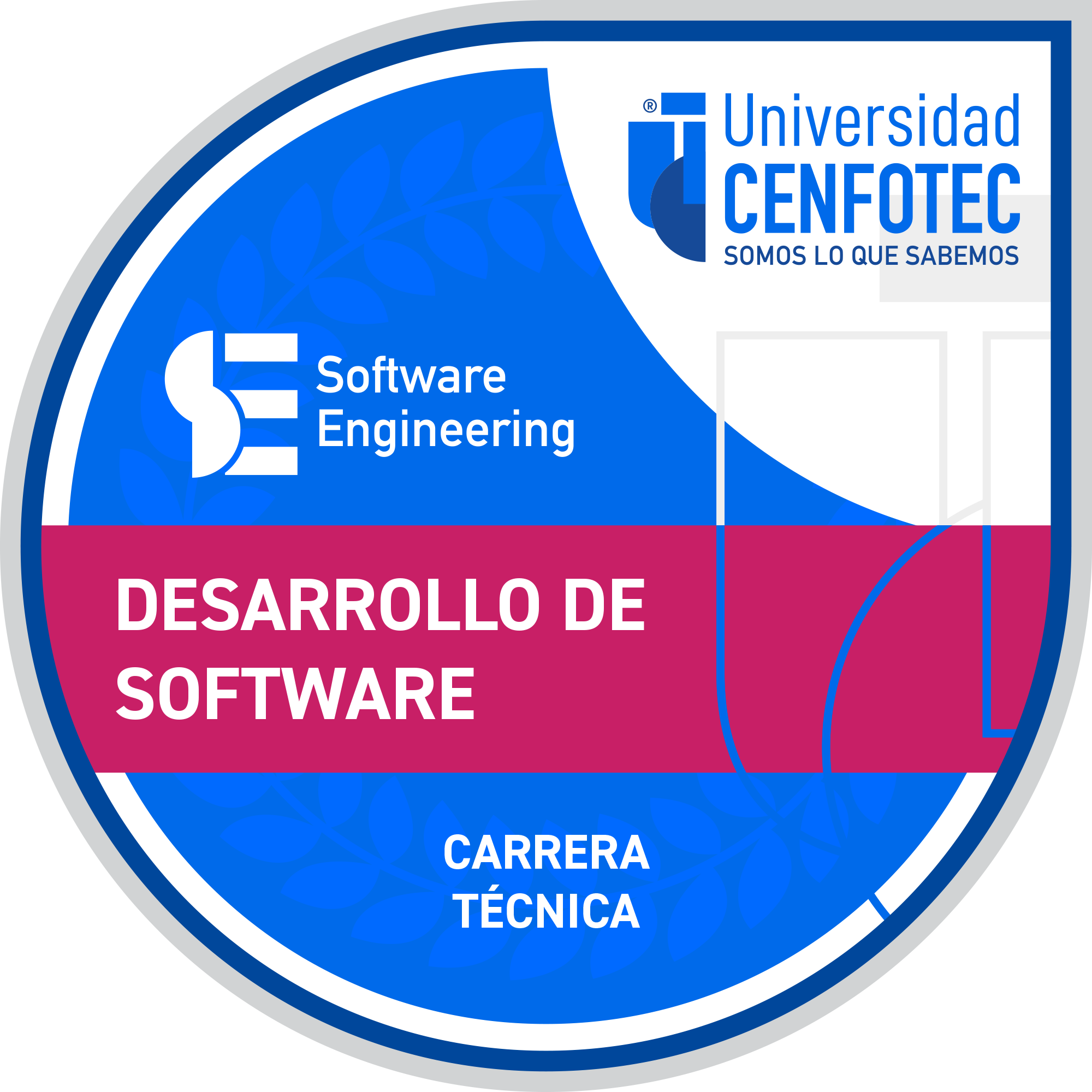 Técnico Superior en Desarrollo de Software_E