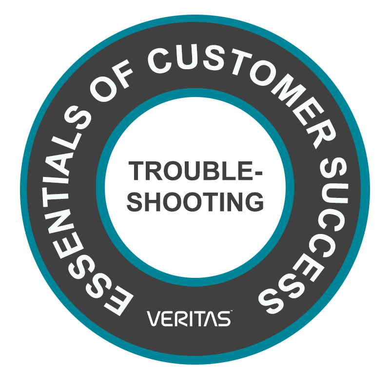 Essentials of Customer Success: Troubleshooting