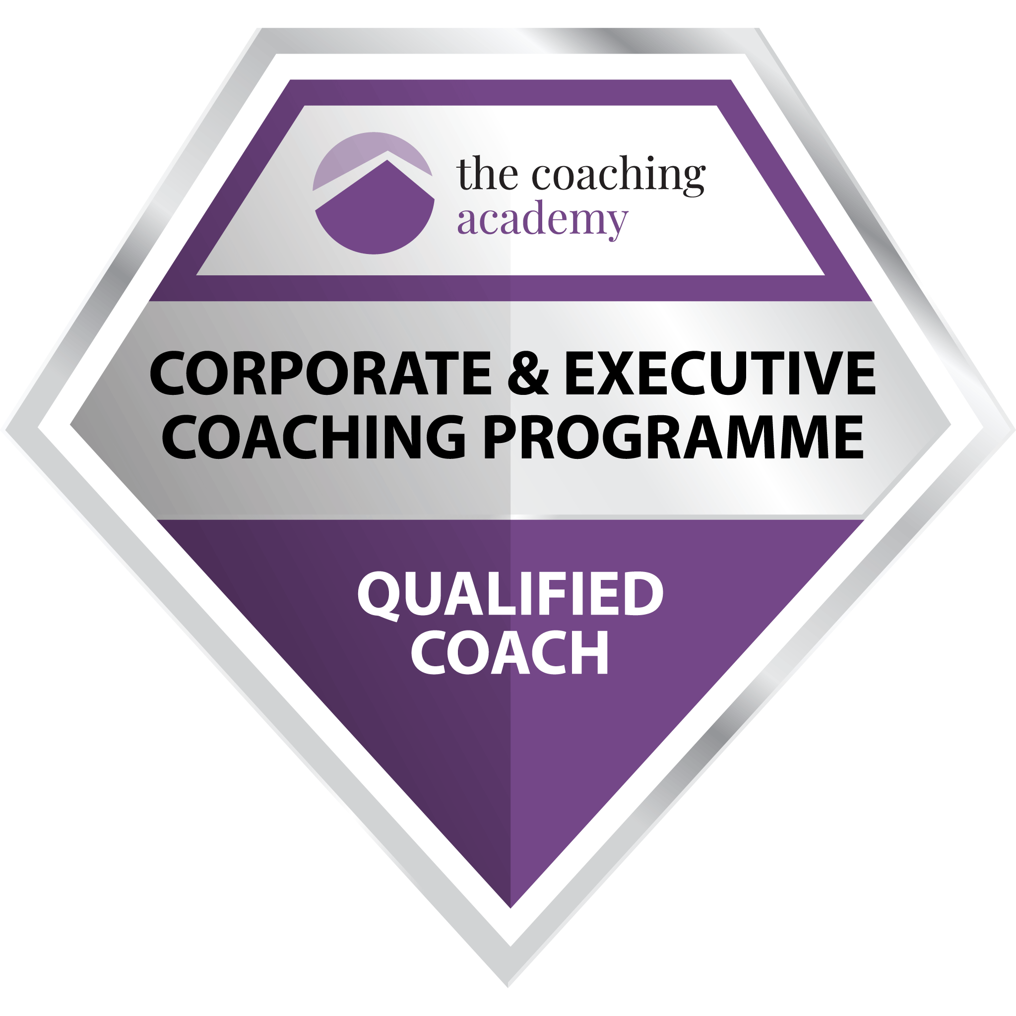 Corporate and Executive Coaching Programme