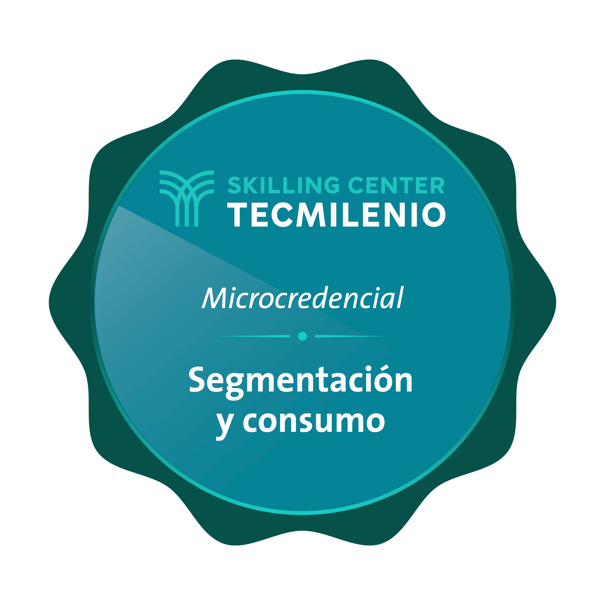 Microcredencial Segmentación y consumo