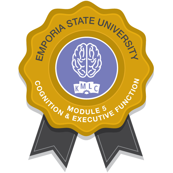 Cognition and Executive Function