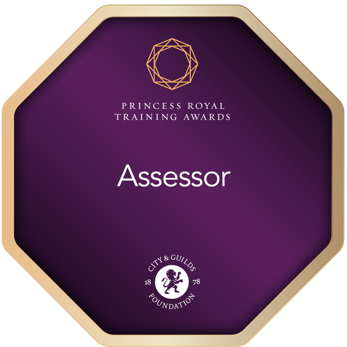 Princess Royal Training Awards Assessor