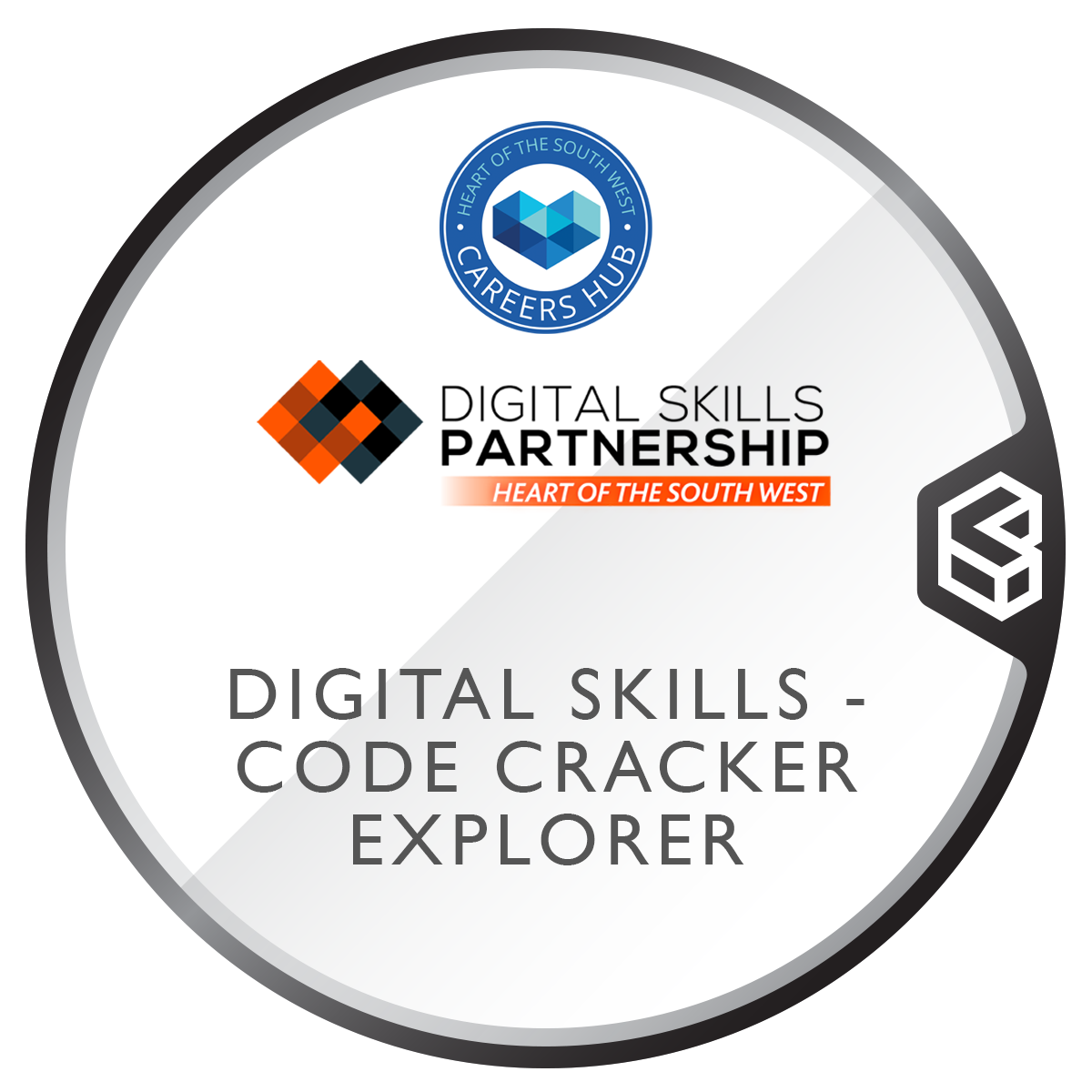 Digital Skills Partnership Project Participant - Code Cracker Explorer